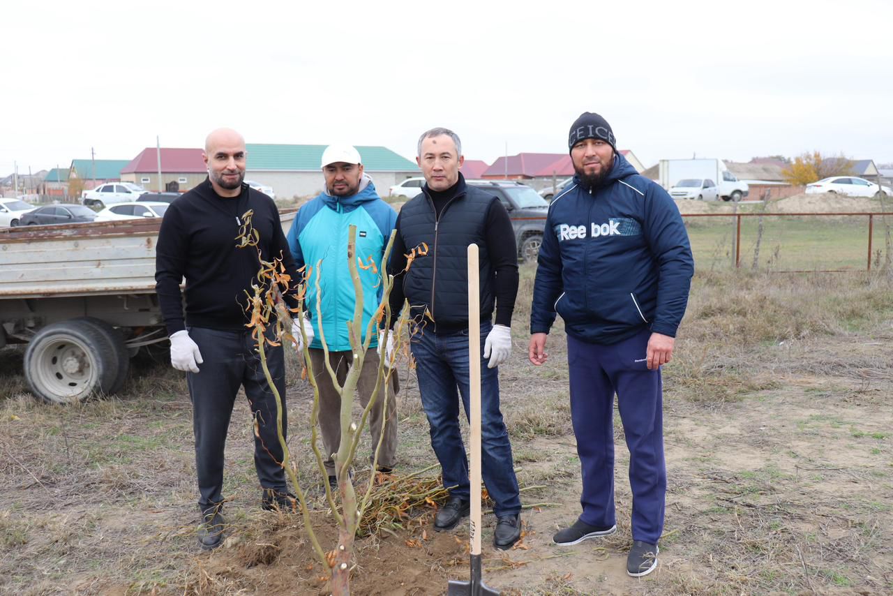 Сотрудники Минприроды РД провели масштабный субботник по озеленению территории в Ногайском районе